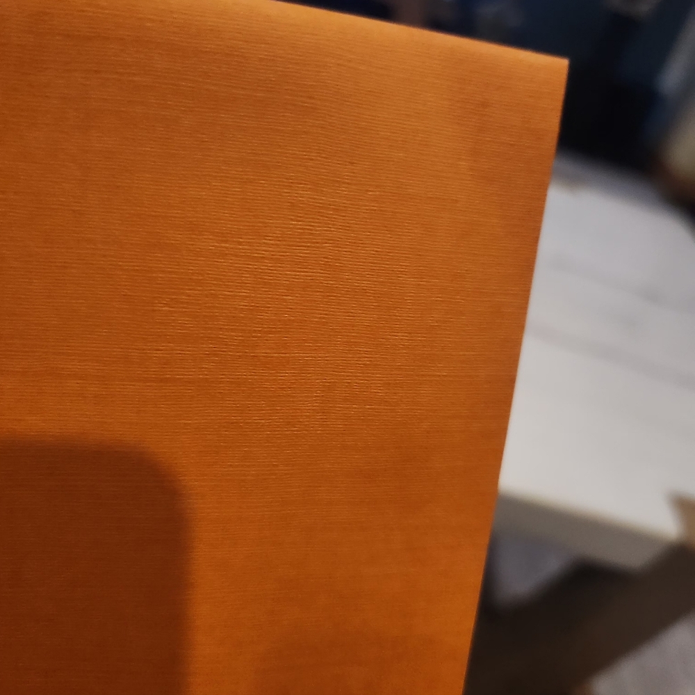 Louis Vuitton Orange Envelope - Picture 4 of 4